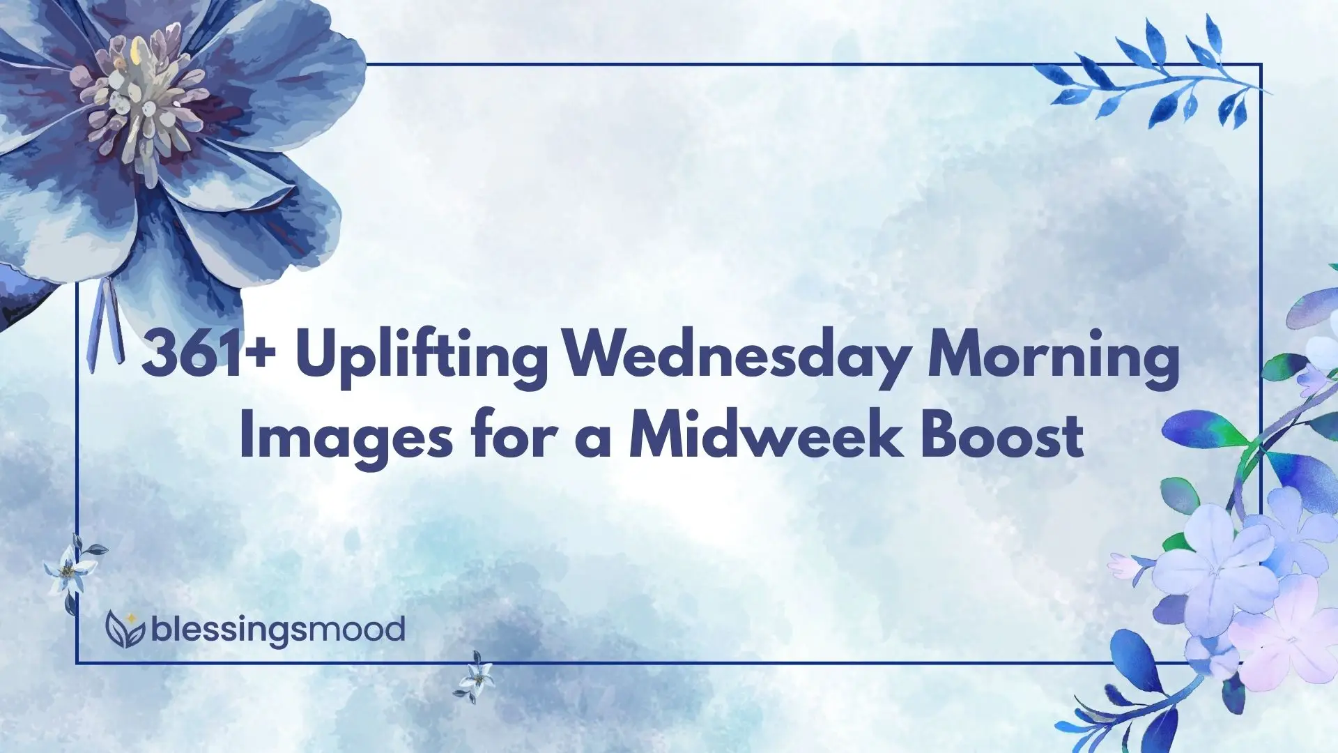 361+ Uplifting Wednesday Morning Images for a Midweek Boost